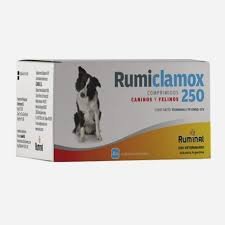 Rumiclamox 250mg