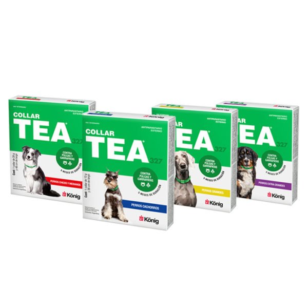Collar Tea Perro Grande