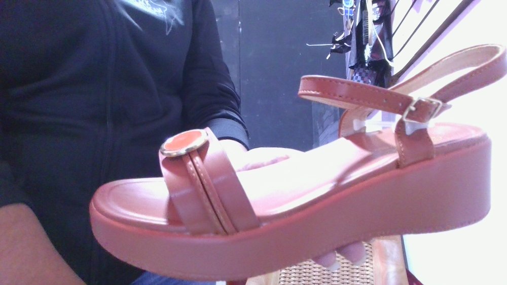 WZC-1311 CAMEL