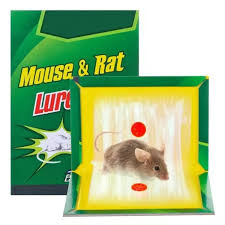 160028 - PEGANTE PARA RATAS VERDE PEQUEÑO