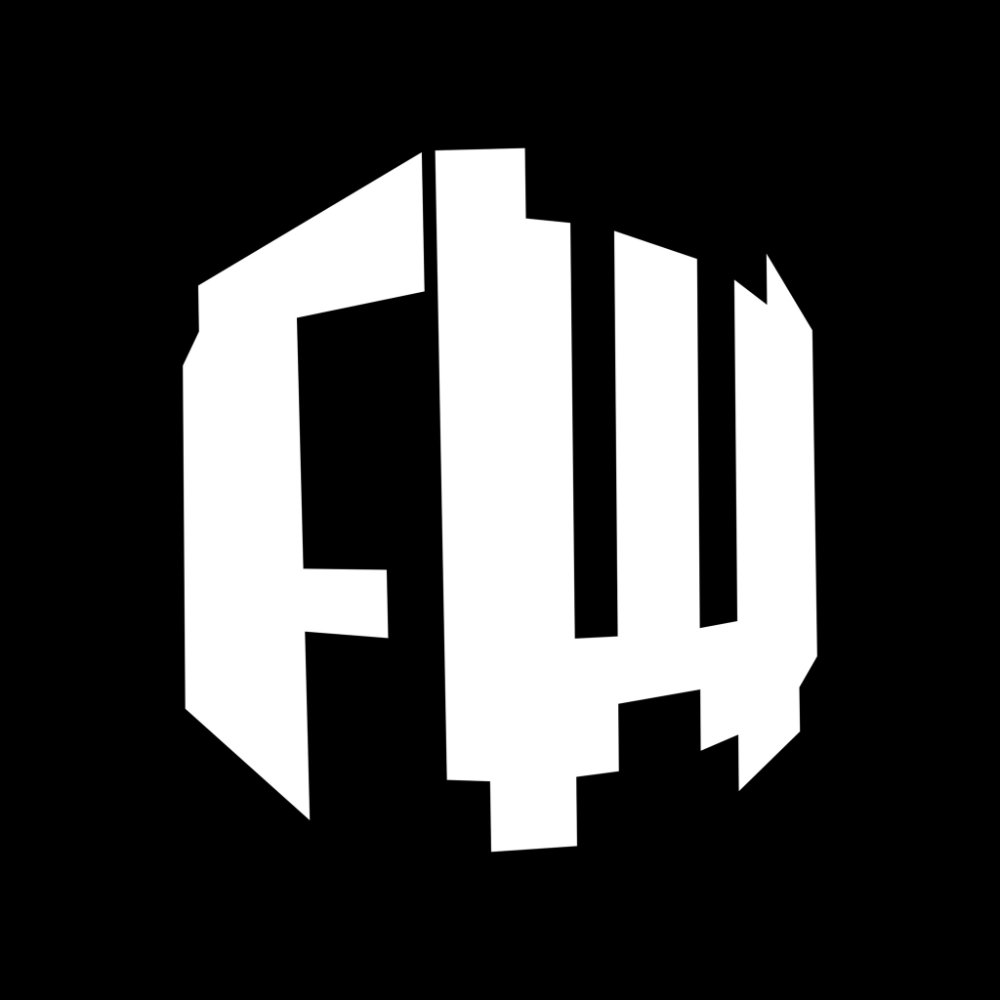 FW MOTOR