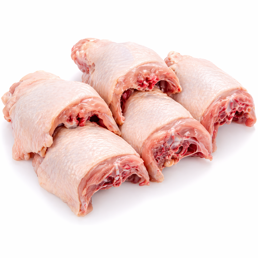 CARAPACHO