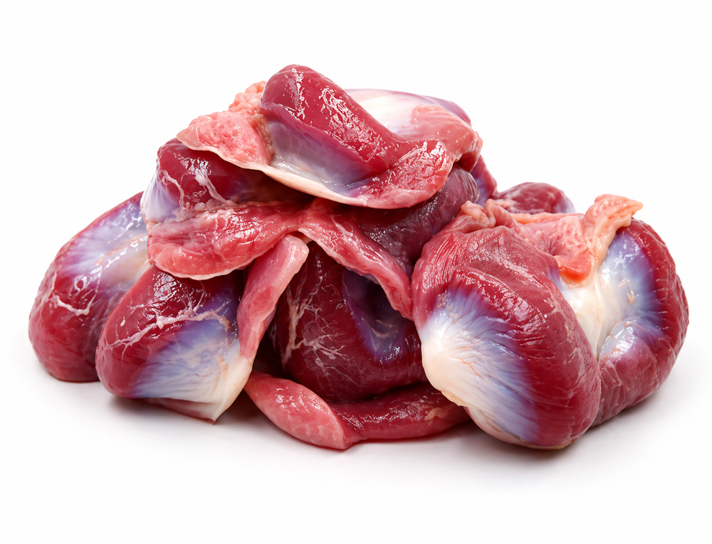 MOLLEJA