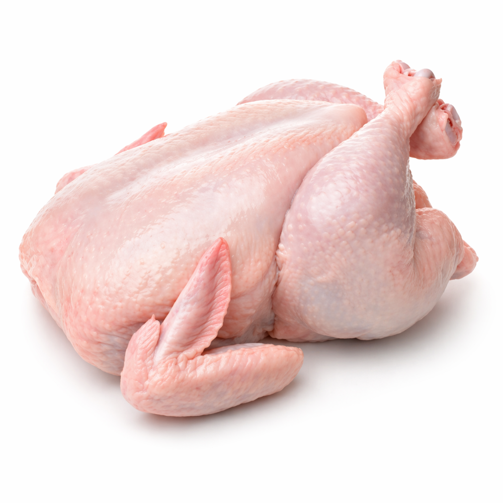 POLLO