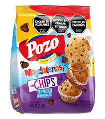 MAGDALENAS POZO CON CHIP