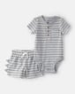 Carters - conjunto de gris baby