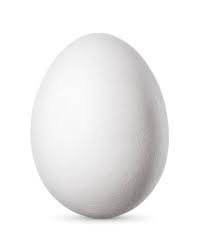 HUEVO BLANCO