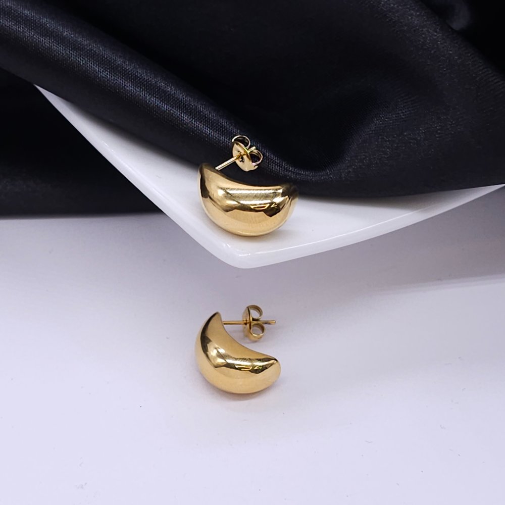Aretes OVA1119