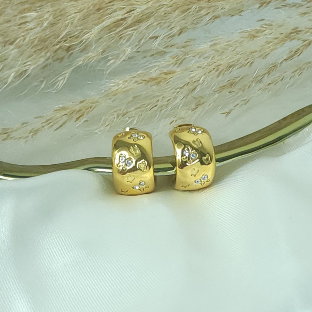Aretes OVA1104