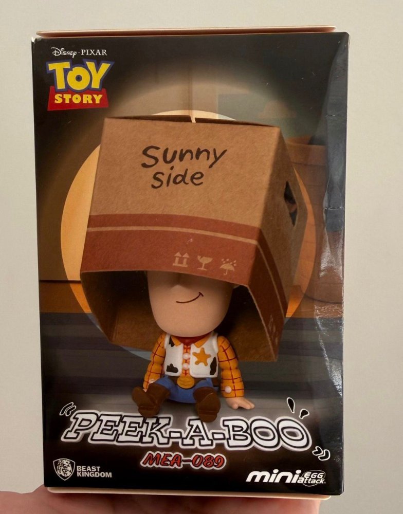 Disney Toy Story Mistery Box
