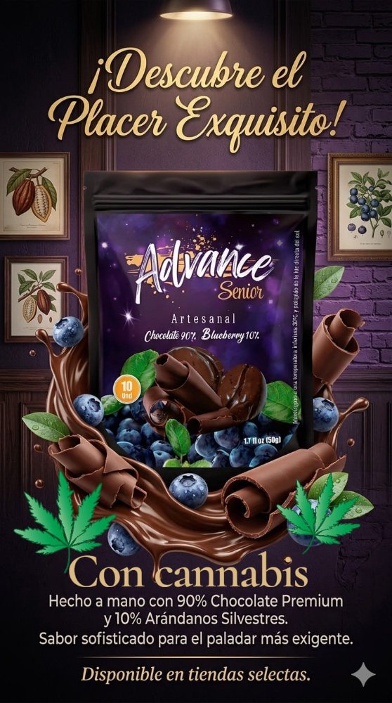 CHOCOLATINA ARANDANO Y TCH