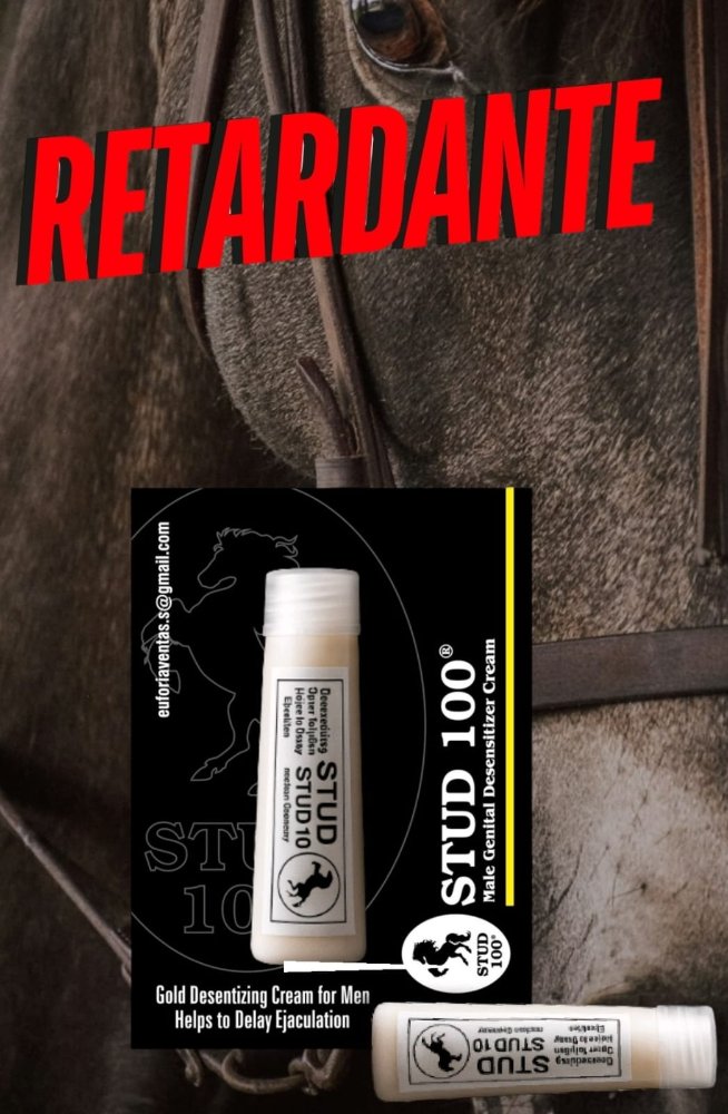 STUD 100 CREMA