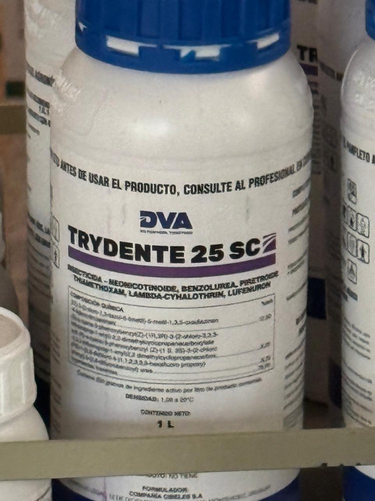TRIDENTE 5LT