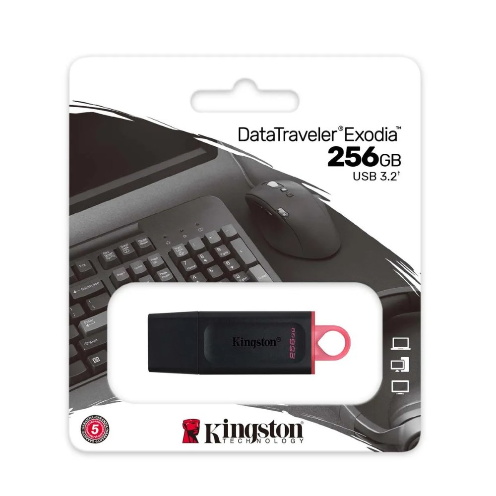 MEMORIA USB 256GB DTX 3.2 NEGRO KINGSTON (DTX/256GB)