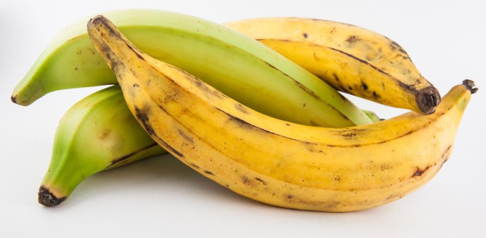 PLATANO AMARILLO