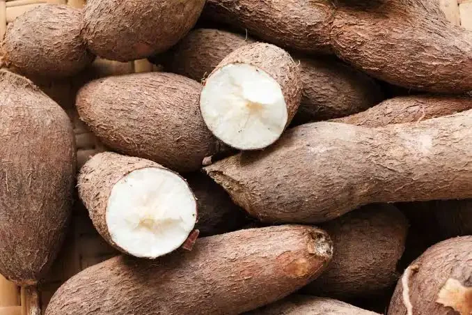 YUCA HARINOSA
