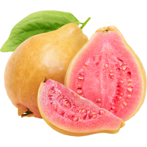 GUAYABA PERA