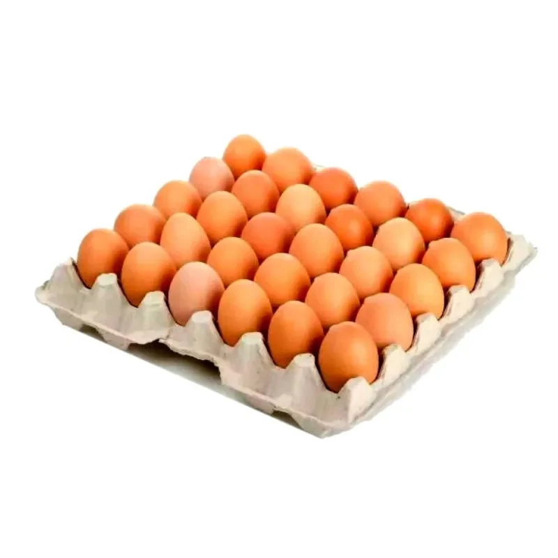 Huevos AA Rojo x30 und