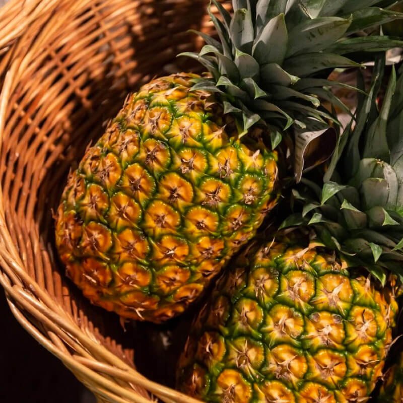 PIÑA OROMIEL