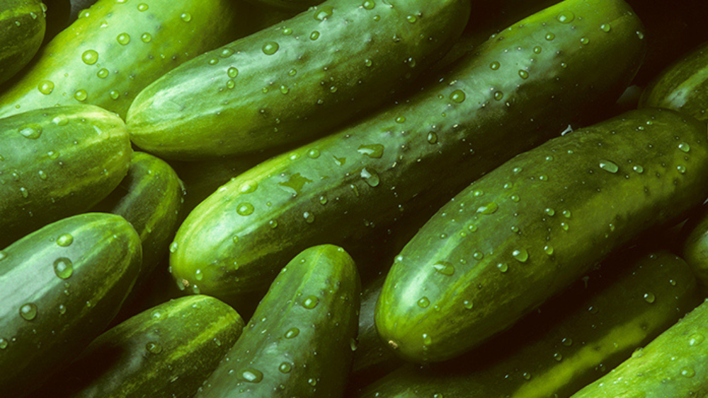 PEPINO COHOMBRO