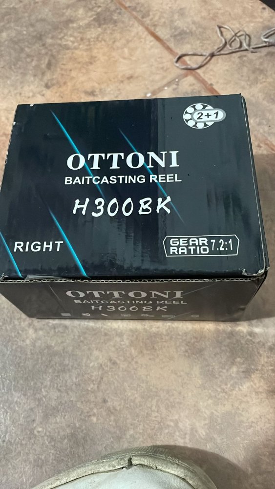 Reel huevito OTTONI h300bk