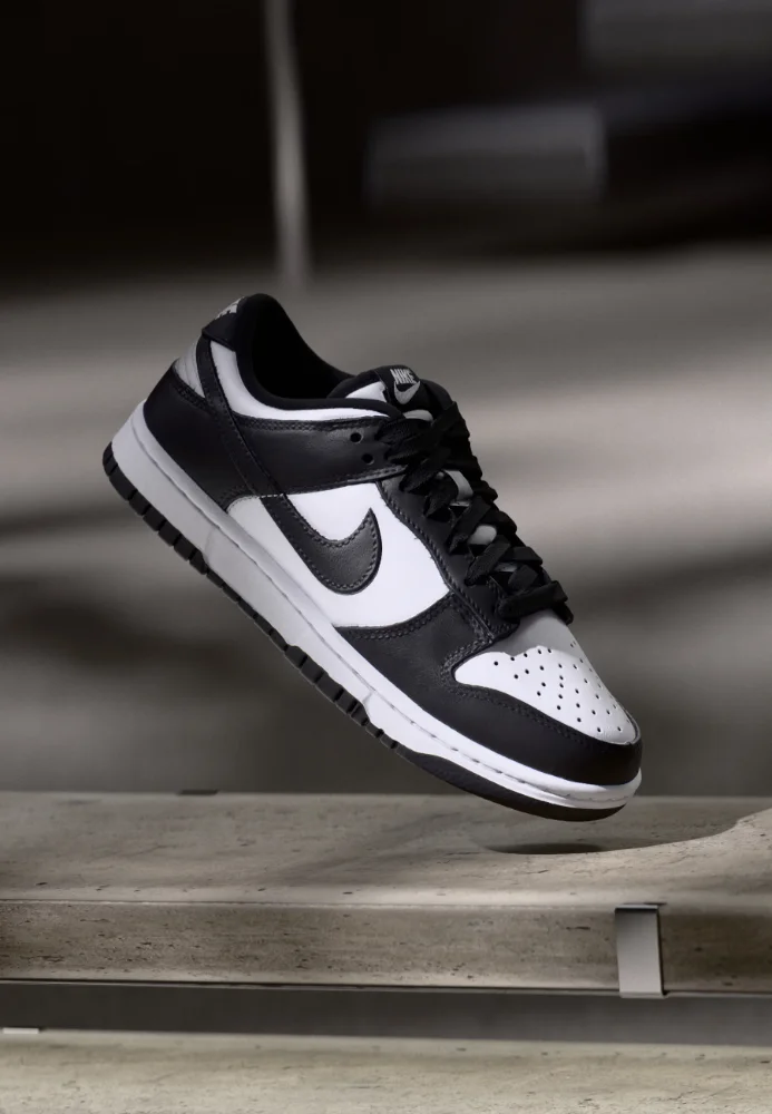 Nike Dunk retro