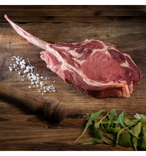 TOMAHAWK mayorista