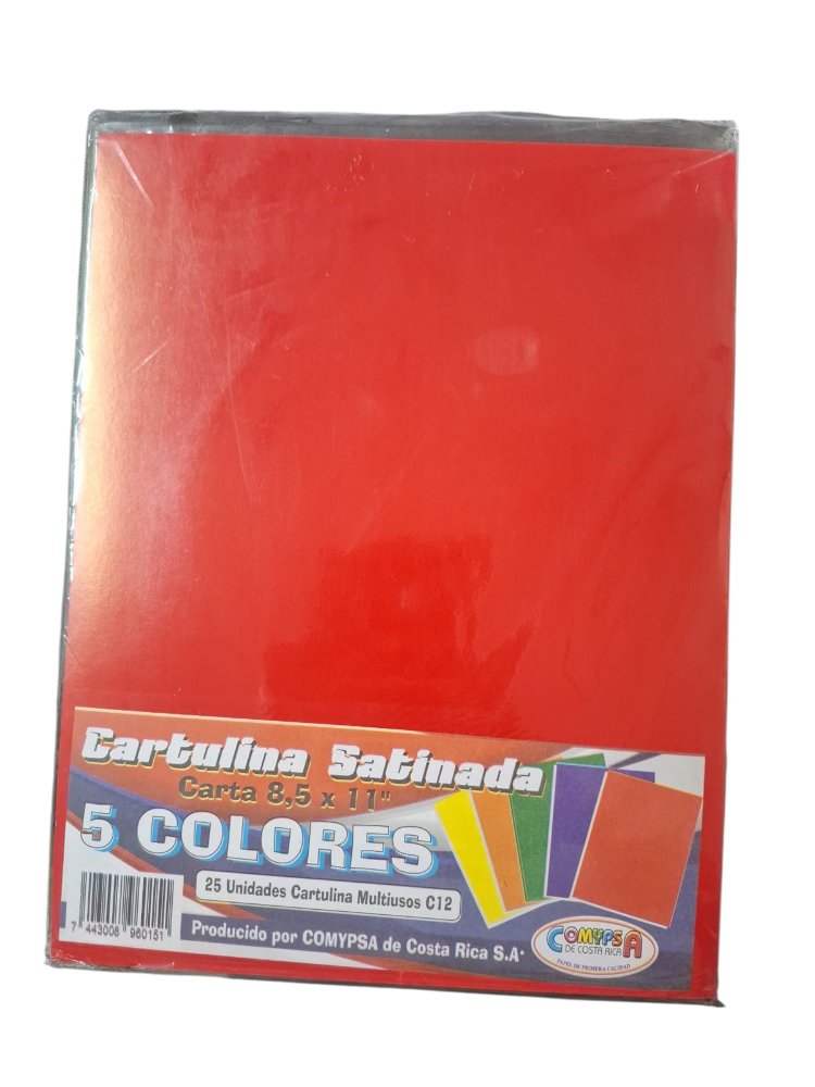 CARTULINA  SATINADA SURTIDA COLORES