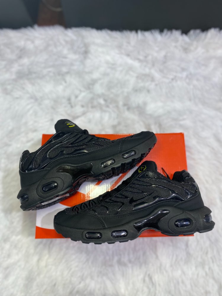 Air max TN plus negra