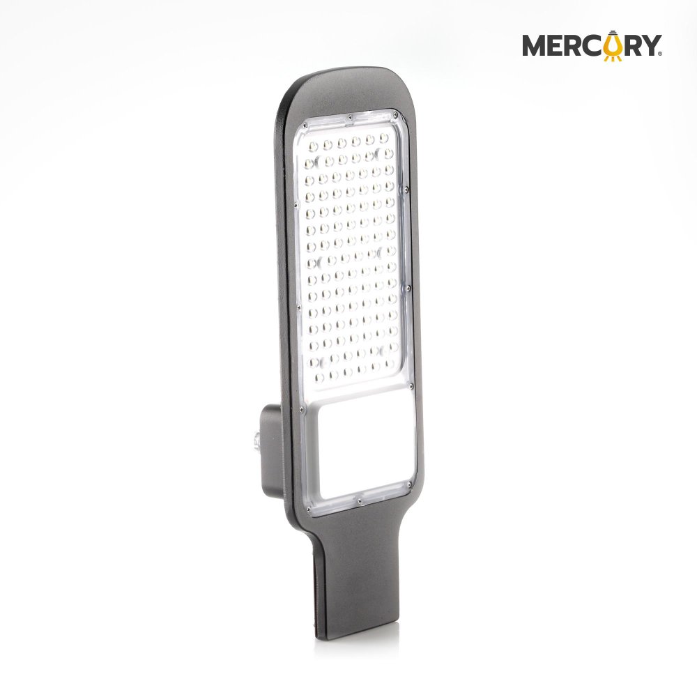 LAMPARA ALUMBRADO PUBLICO 100W MERCURY