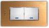 INTERRUPTOR DOBLE SERIE X IGOTO