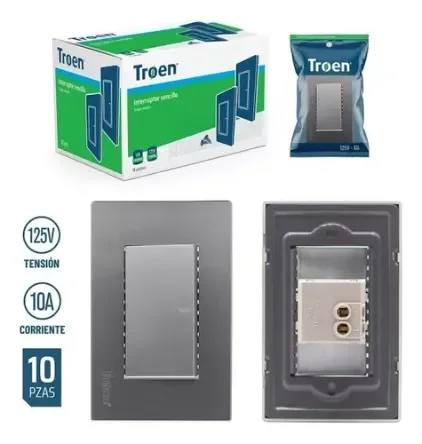 INTERRUPTOR SENCILLO PLATA TROEN