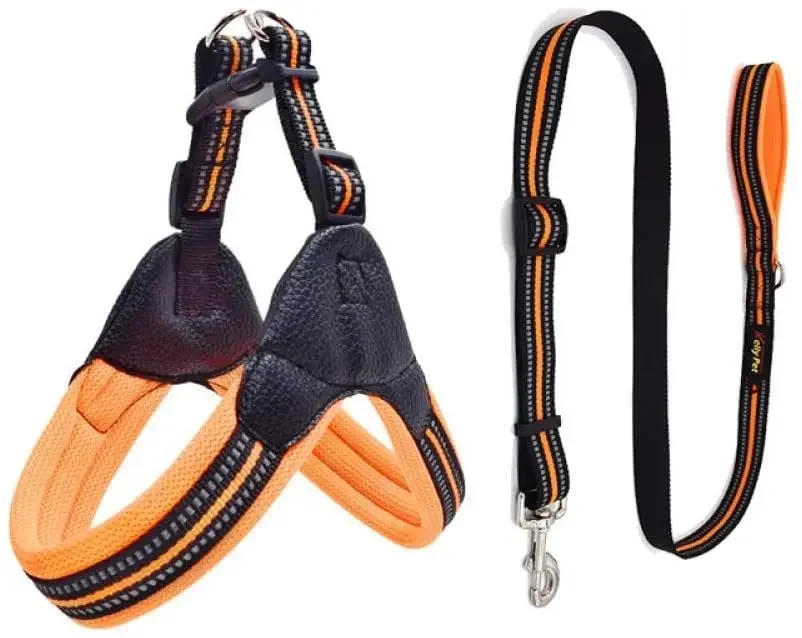 ARNES CON TRAILLA PREMIUM