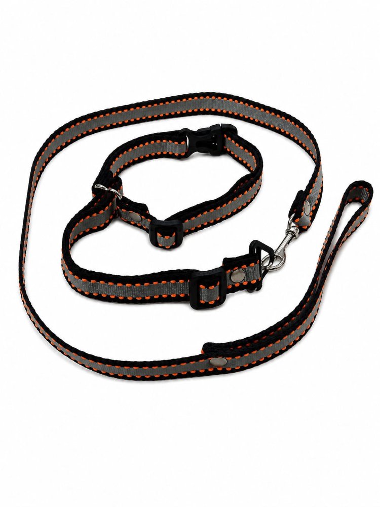 JUEGO TRAILLA COLLAR