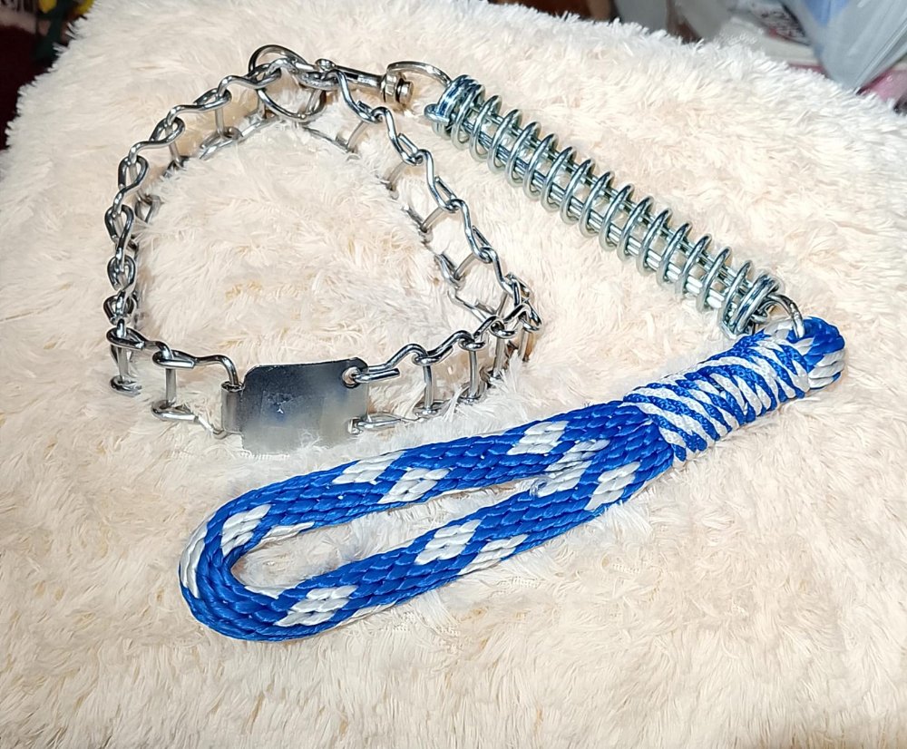 COLLAR METALICO CON TRAILLA CORTA
