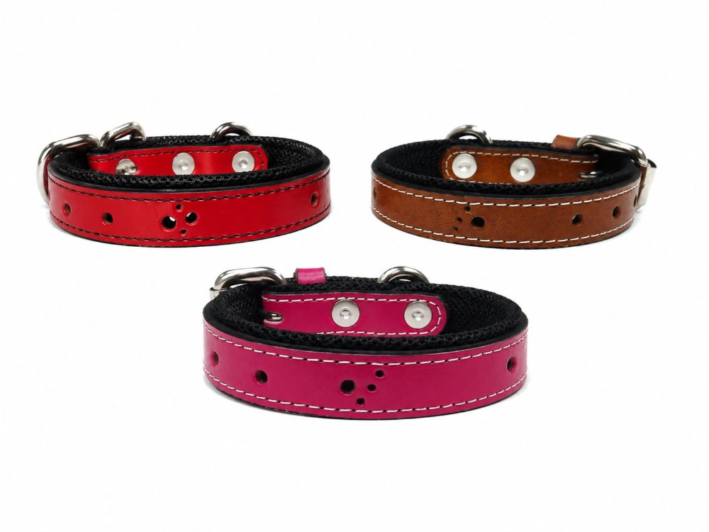 COLLAR PARA PEQUEÑOS Y MINIS