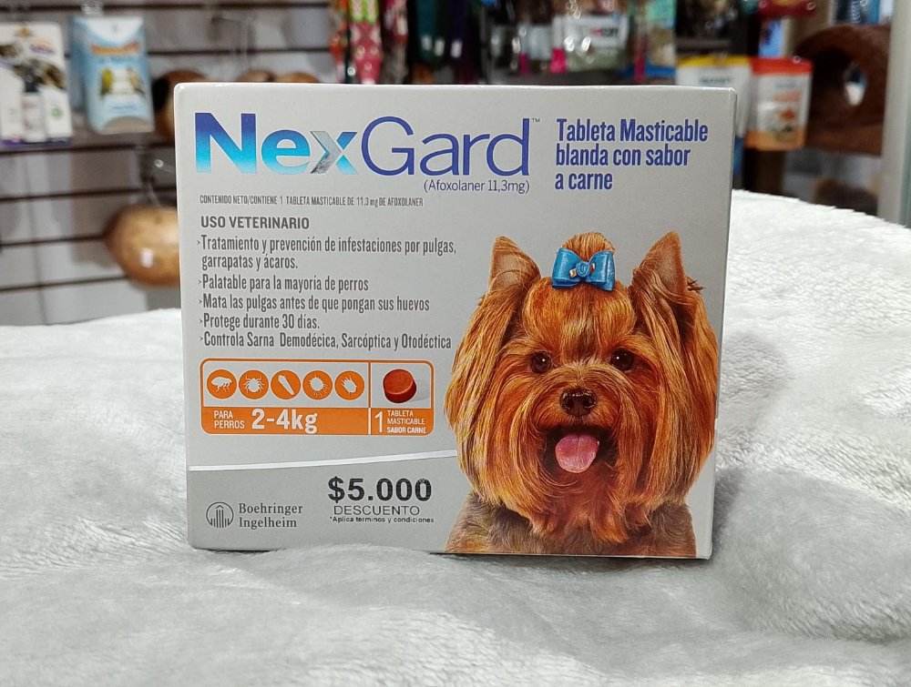 NEXGARD 2-4 KG