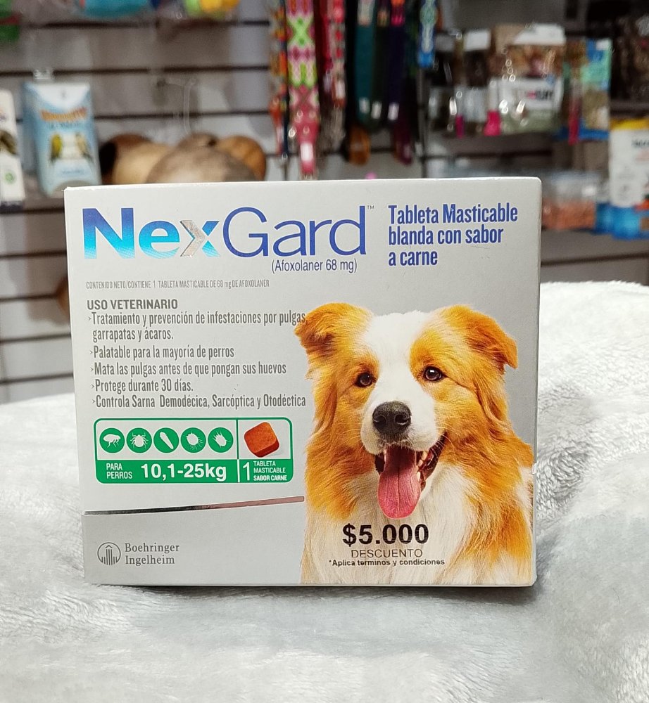 NEXGARD 10.1-25 KG