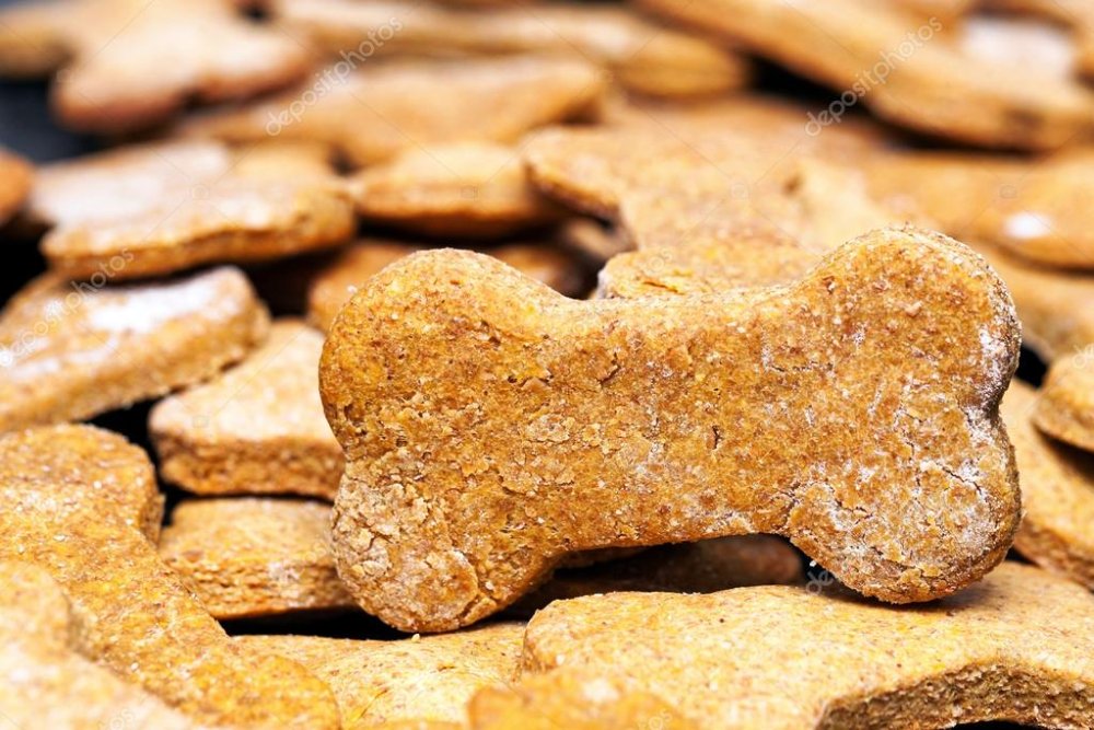 GALLETAS HORNEADAS PARA PERRO