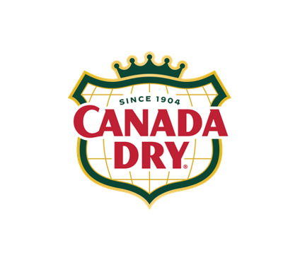GINGER CANADA DRY 300 ML X 24 UND