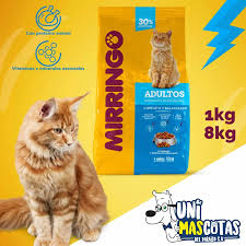 Gatarina Mirringo 1kl × 20und