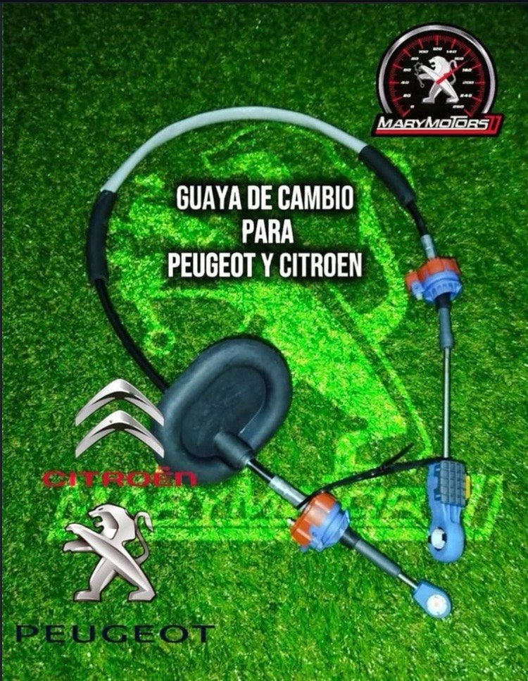 guaya de cambio