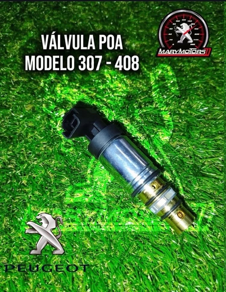 Valvula Poa Peugeot 307 408