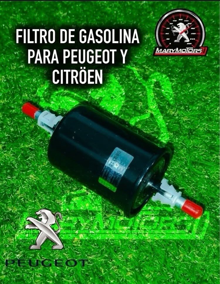 filtro de gasolina