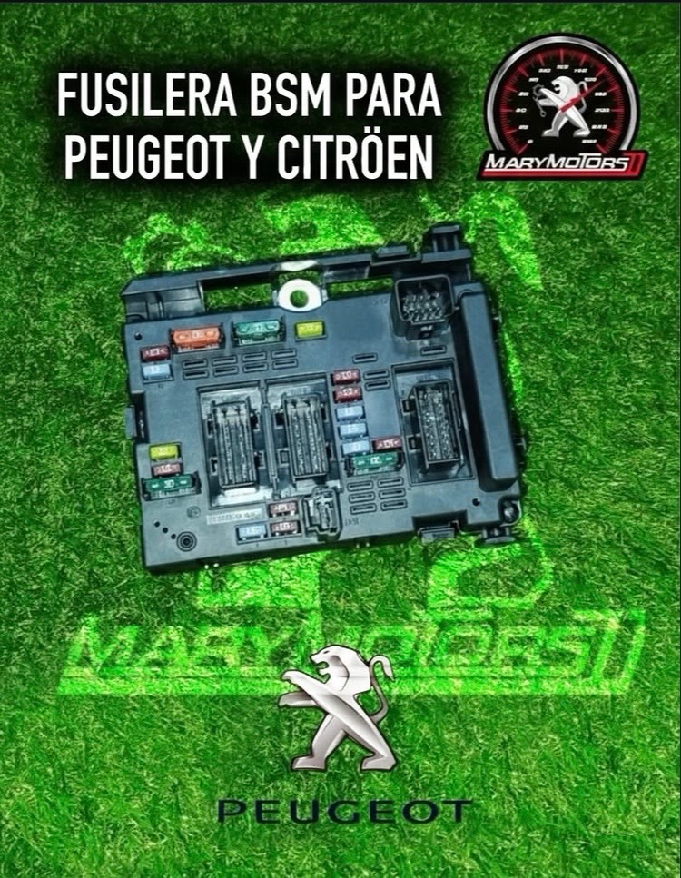 fusilería 307 408 Peugeot
