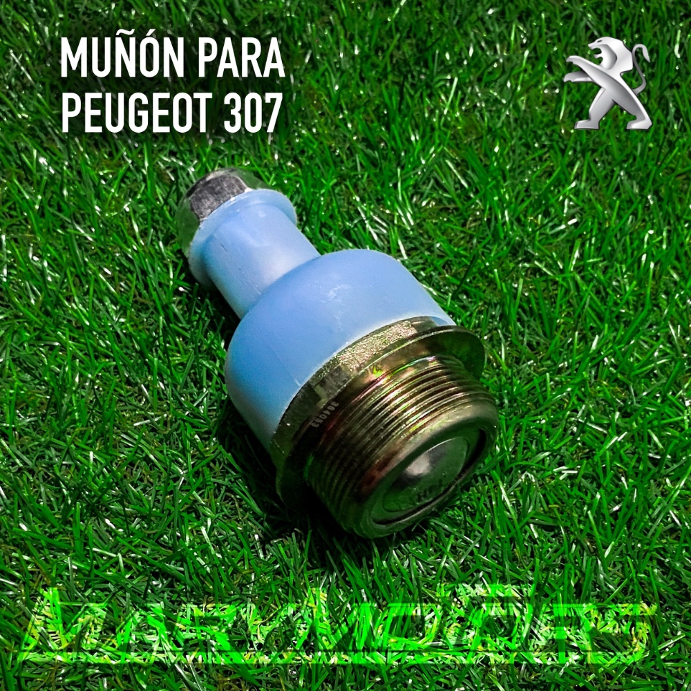 Muñon 307 Peugeot