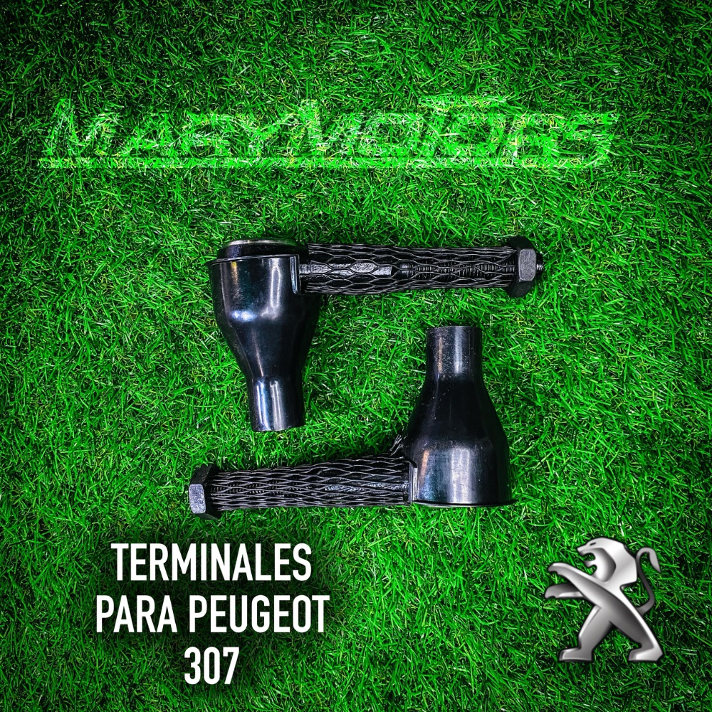 terminales peougeot 307