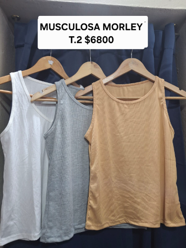 Musculosa morley