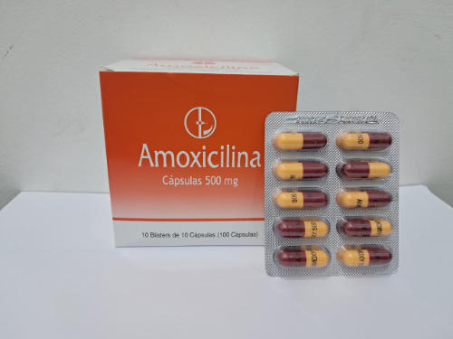 AMOXICILINA CAPS *500MG*