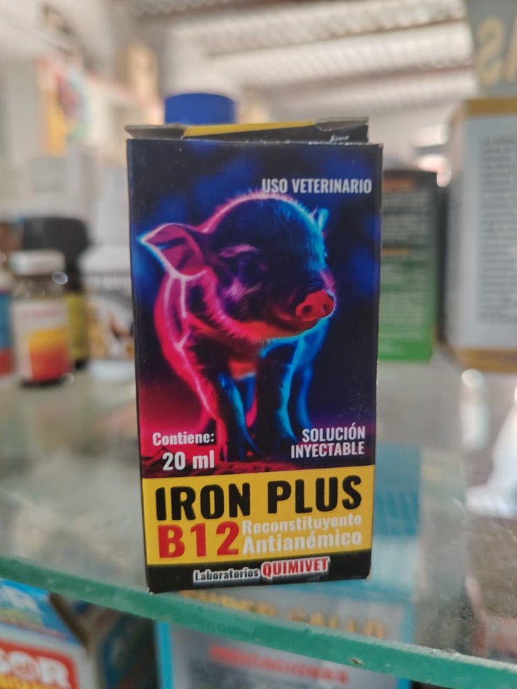 iron plus b12  x 20 ml